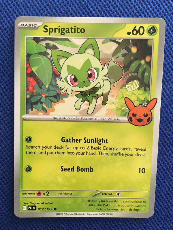 POKEMON TRADING CARD - SPRIGATITO