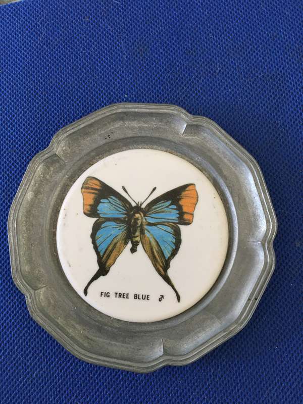 VINTAGE TO ANTIQUE COASTER PEWTER AND ENAMEL OR SMALL WALL HANGING