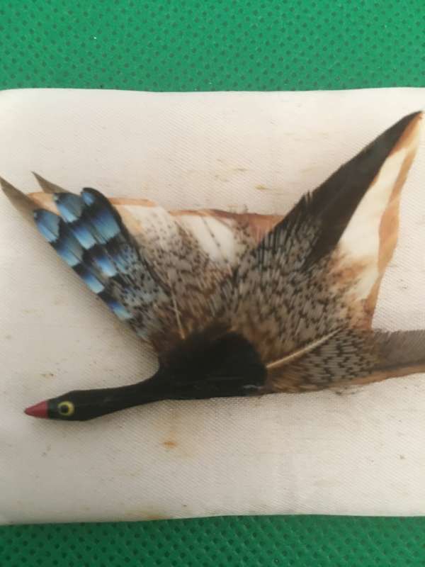 VINTAGE  PHEASANT BROOCH MADE OF FEATHERS
