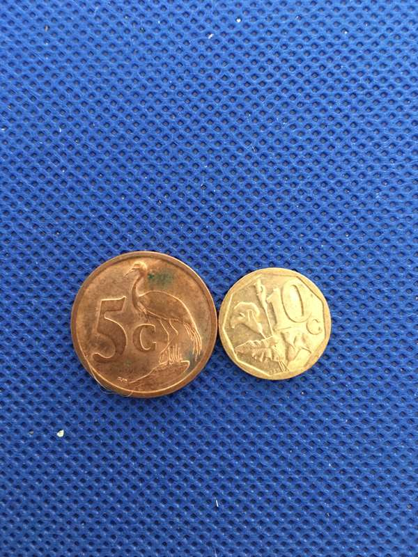 SOUTH AFRICA - 5c and 10c COINS   (C15)