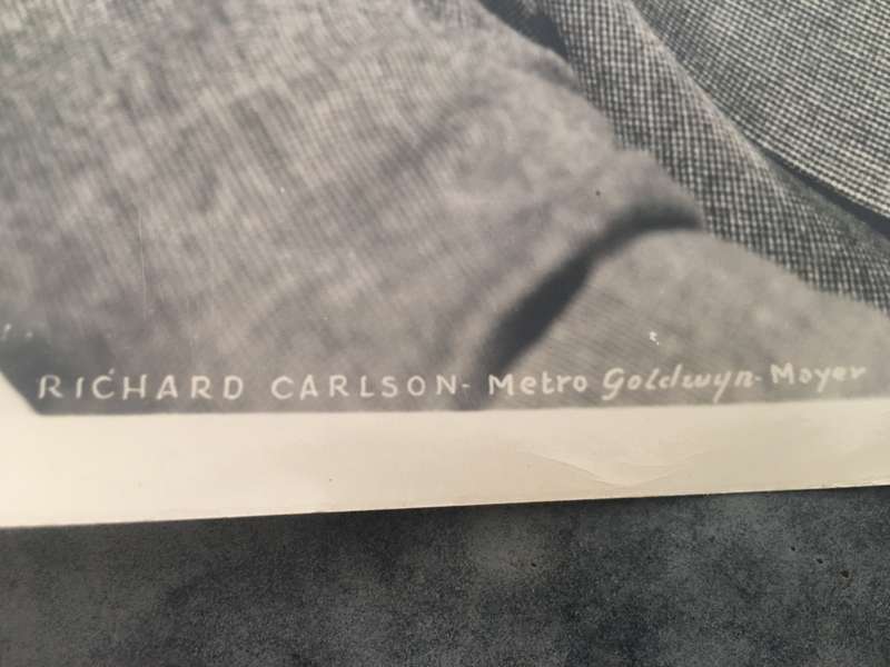 VINTAGE PRESS PHOTOGRAPH - METRO GOLDWYN MAYER - RICHARD CARLSON  - 1930'S - 1940'S