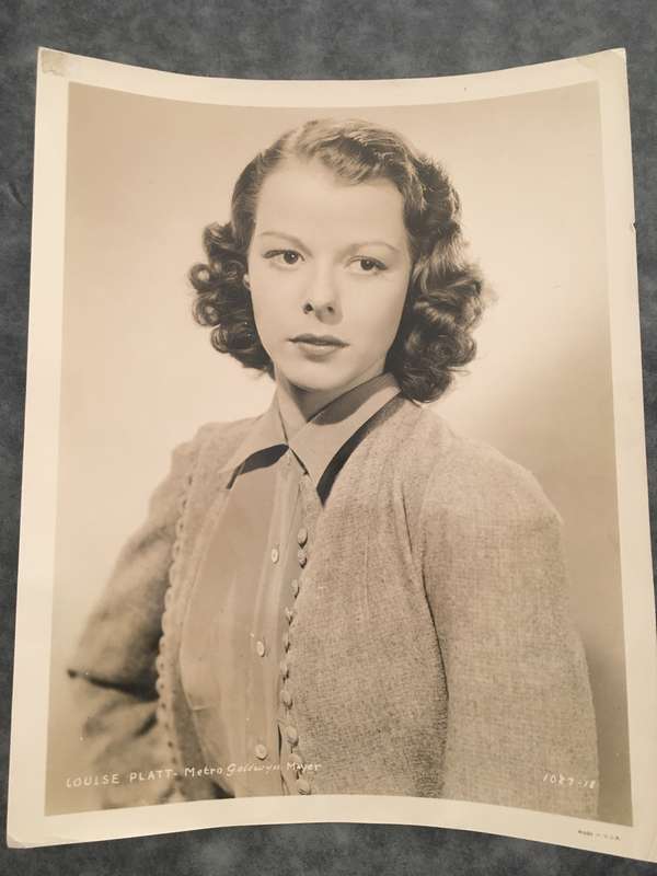 LOVELY VINTAGE PRESS PHOTOGRAPH - METRO GOLDWYN MAYER - LOUISE PLATT  - 1940'S