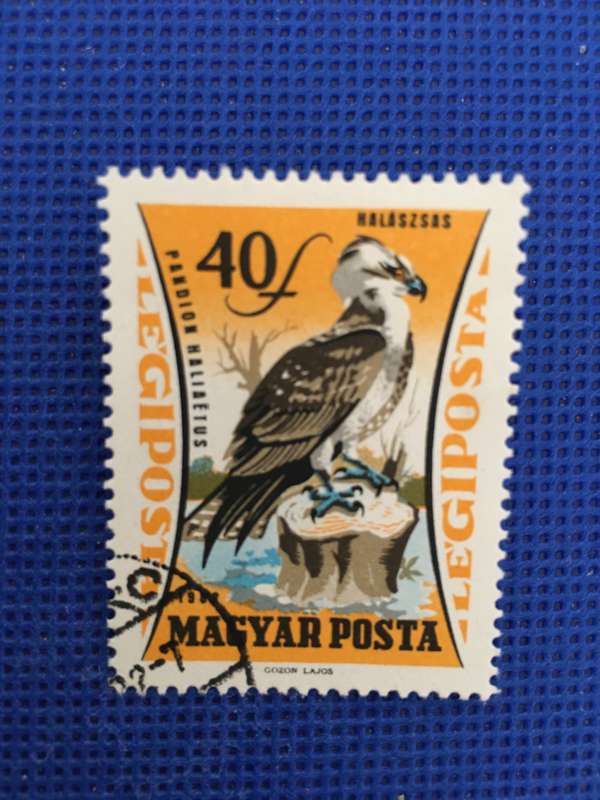 HUNGARY USED 1962  STAMP SET RAPTORS