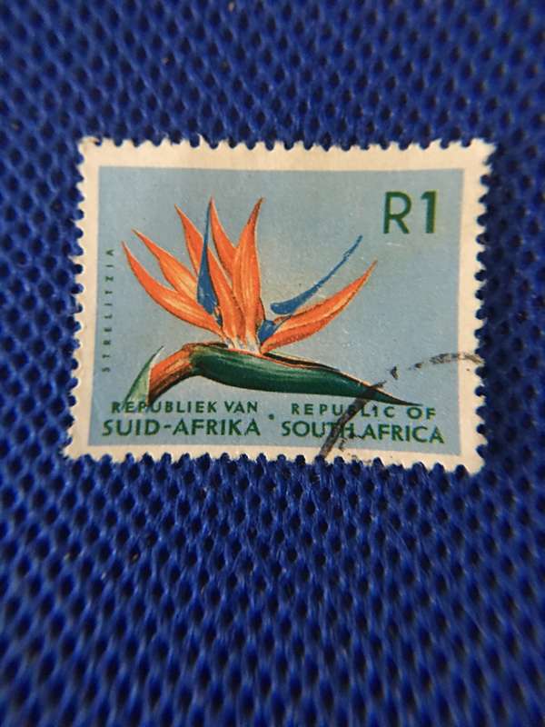 SOUTH AFRICA R1 STRELITZIA USED STAMP 1961