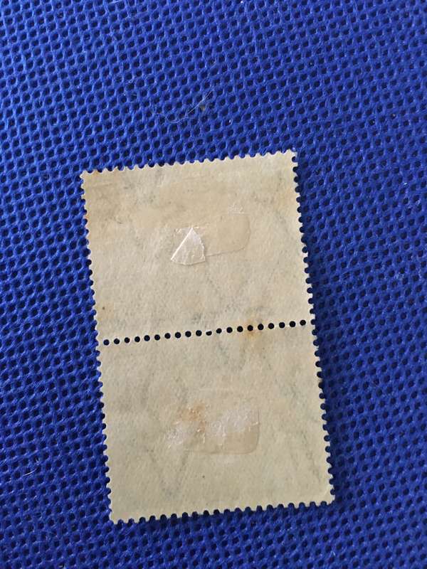 SOUTH AFRICA - HUGUENOT COMMEMORATION - 1688-1938  1/2D USED PAIR
