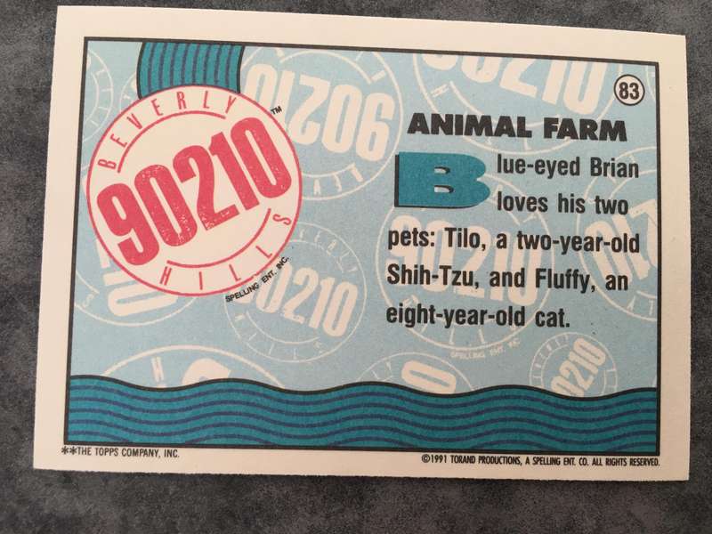 BEVERLY HILLS 90210  - 1991 TRADING CARDS FROM THE SERIES PACK OF  6 CARDS