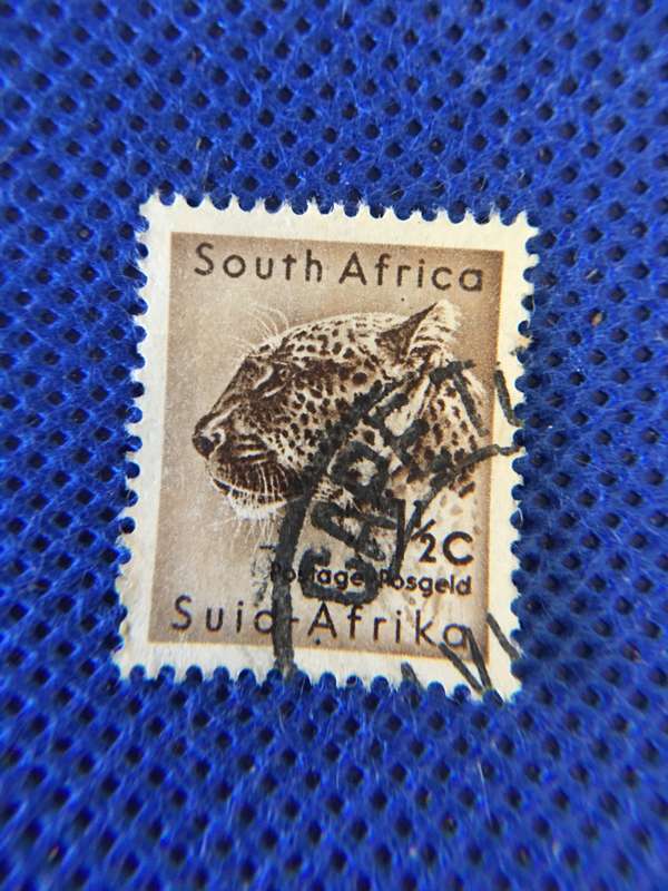 SOUTH AFRICA LEOPARD STAMP USED 1954