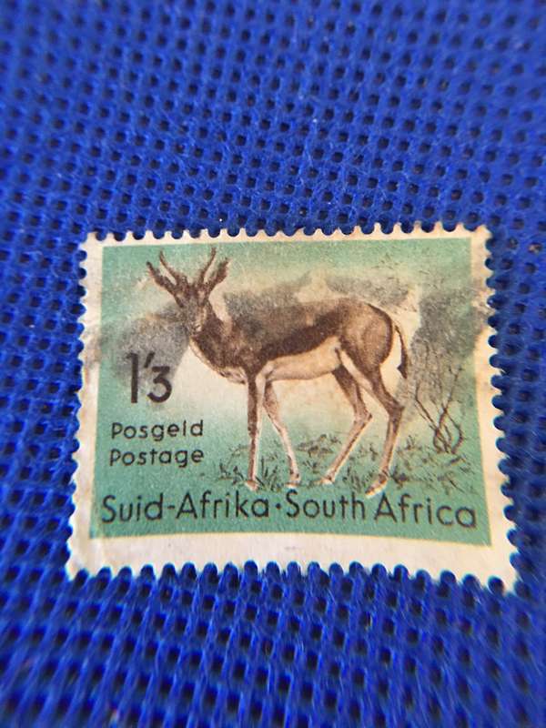 SOUTH AFRICA - USED SPRINGBOK STAMP -  1.3