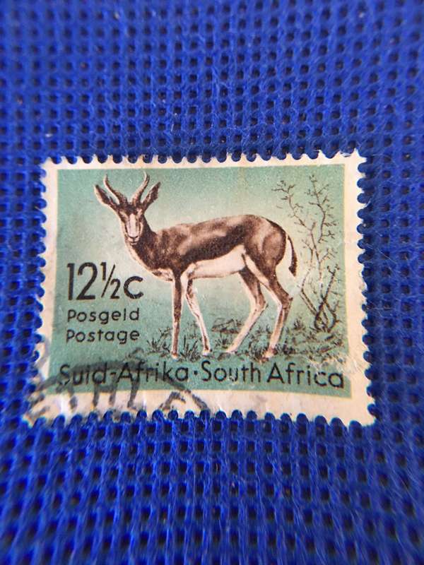 SOUTH AFRICA - 12 1/2c  USED SPRINGBOK 1961 POSTAGE STAMP