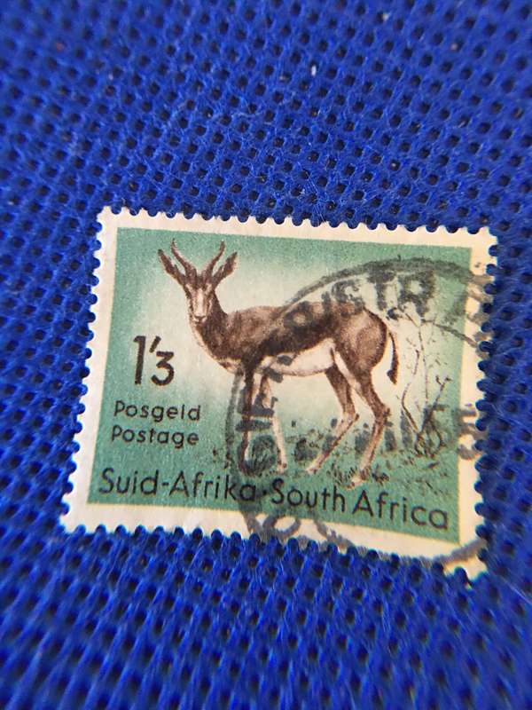 SOUTH AFRICA - USED SPRINGBOK 1.3  POSTAGE STAMP
