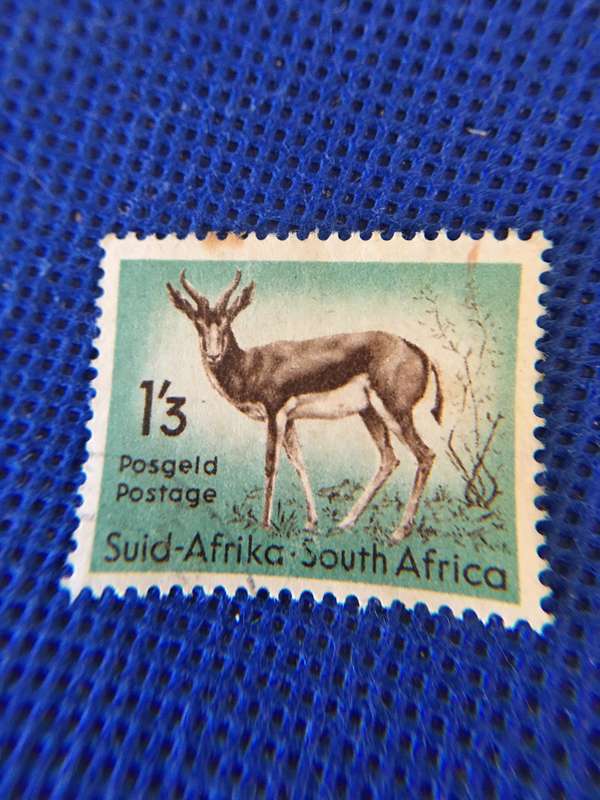 SOUTH AFRICA USED SPRINGBOK 1.3 POSTAGE STAMP 1961
