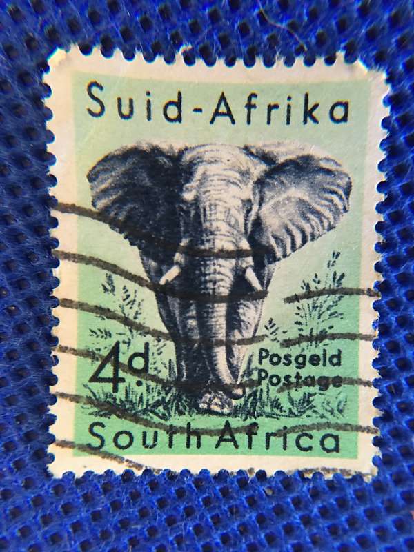 SOUTH AFRICA  USED 4D ELEPHANT STAMP
