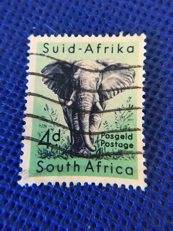 SOUTH AFRICA USED 4D ELEPHANT STAMP