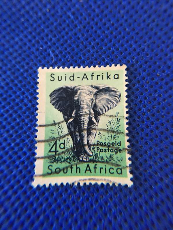 SOUTH AFRICA USED ELEPANT STAMP - 4D