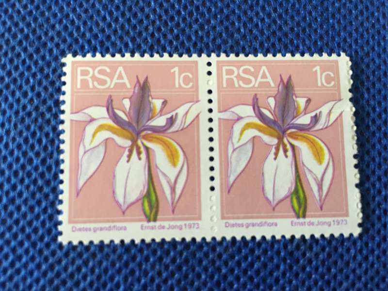SOUTH AFRICA MINT 1c PAIR  OF STAMPS