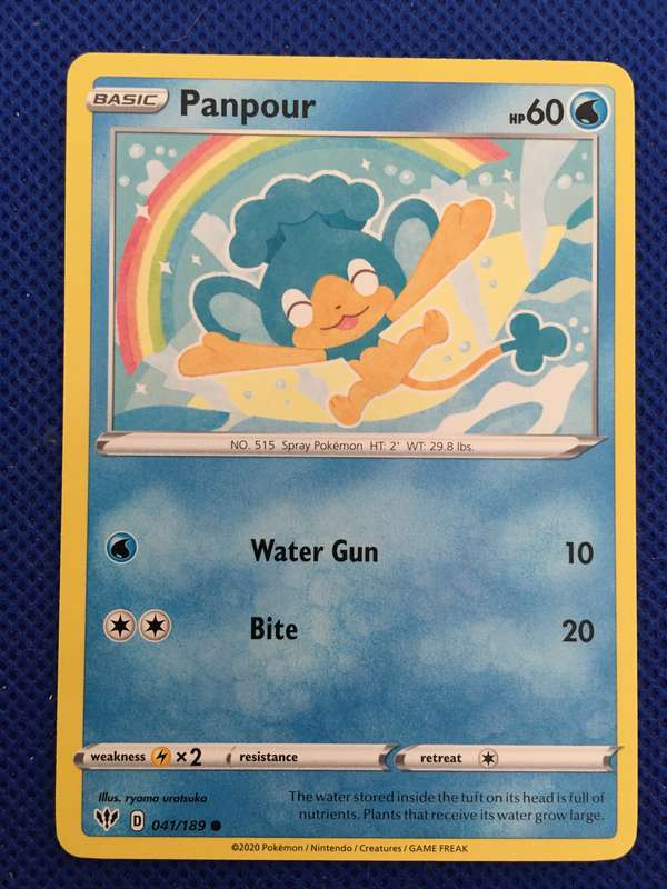 POKEMON TRADING CARD - PANPOUR