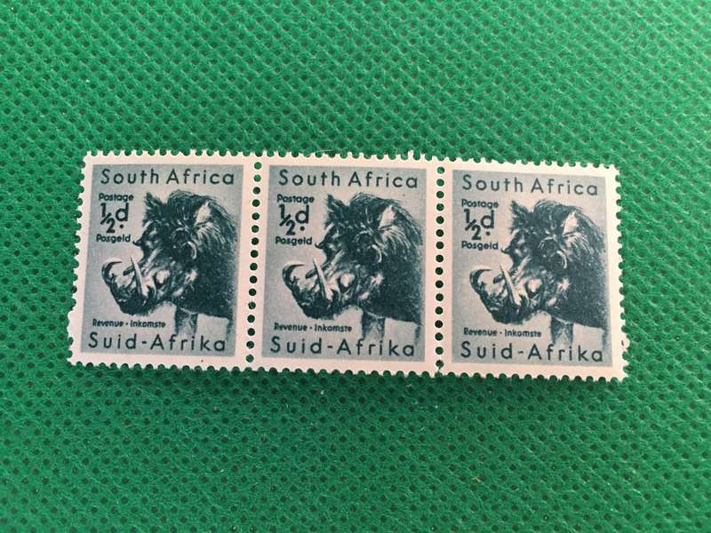 SOUTH AFRICA MINT 3 WARTHOG STAMPS