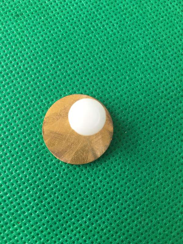 CRICKET PROTEA BADGE