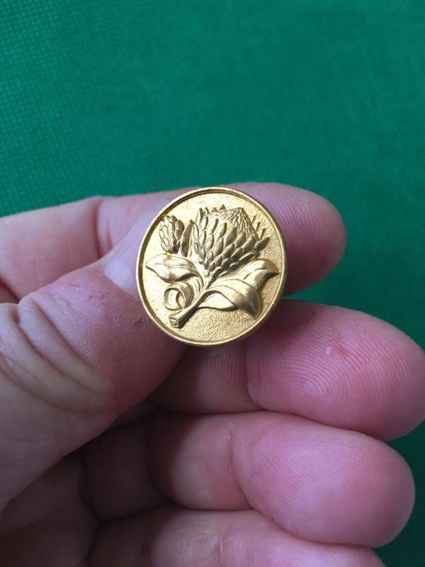 CRICKET PROTEA BADGE