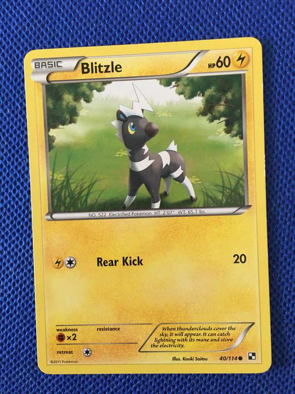POKEMON TRADING CARD - BLITZLE