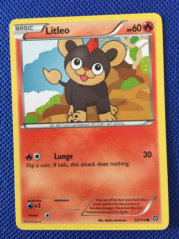 POKEMON TRADING CARD- LITLEO