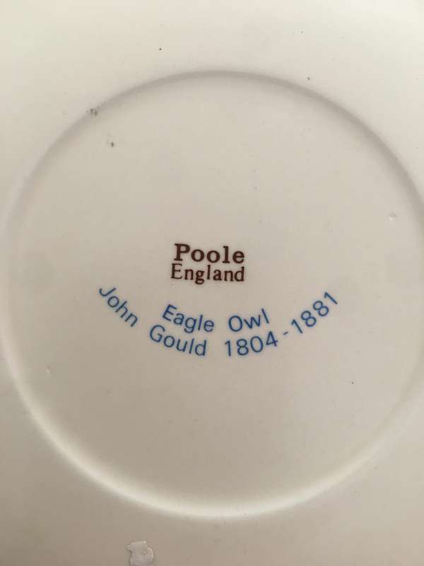 LOVELY VINTAGE PLATE  EAGLE OWL BY JOHN GOULD POOLE ENGLAND