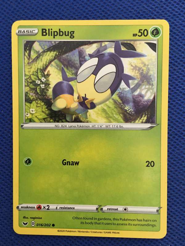 POKEMON TRADING CARD - 2020 - BLIPBUG