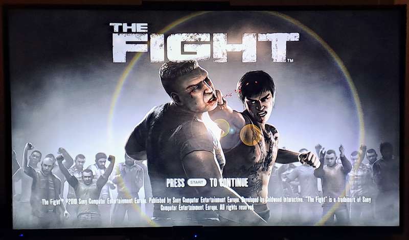 The Fight - Sony PlayStation 3 / PS3 Game (PAL) (PS Move controller/s required)