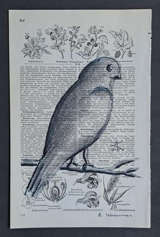 Fineliner Object Art Print on Vintage Dictionary Page (p112 - Bird) (240mm x 160mm)