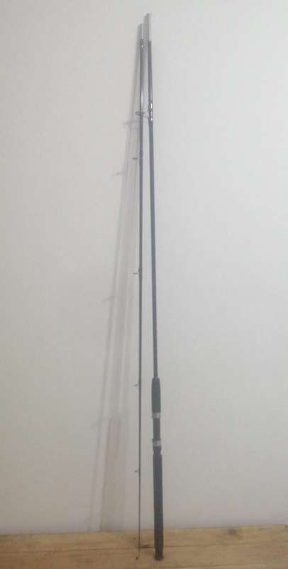 10Ft Fishing Rod, 2 Piece, Black