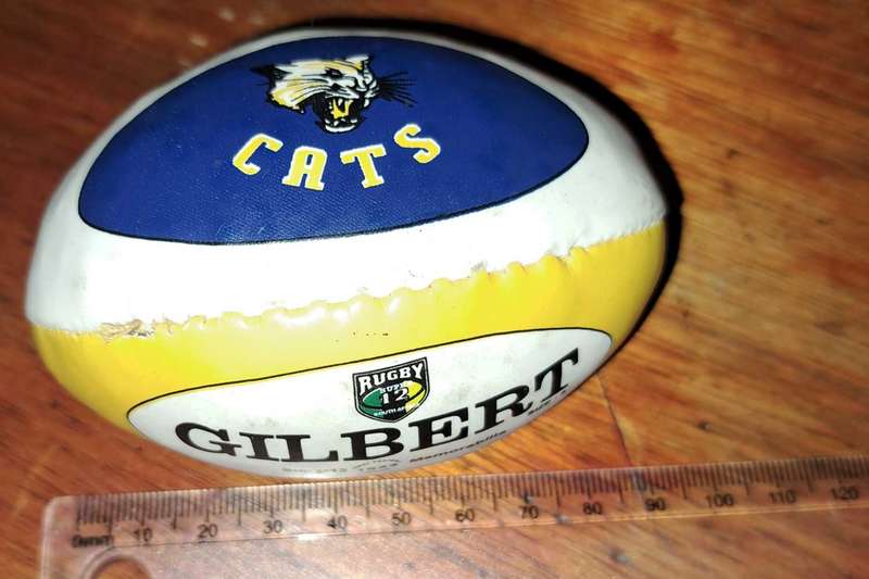 CATS Rugby Mini Ball