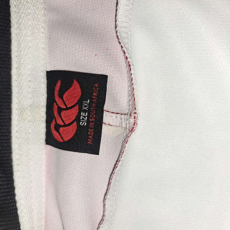 Lions Rugby supporters jersey