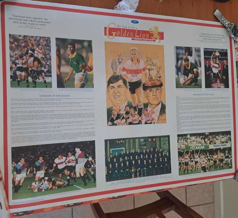 Golden Lions 1993 Champions Rugby Poster
