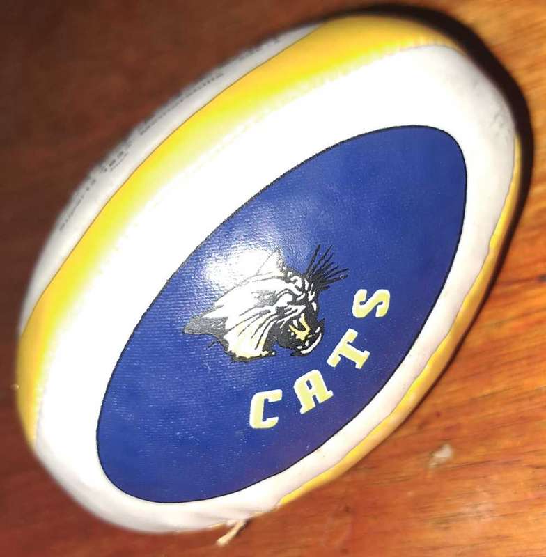 CATS Rugby Mini Ball
