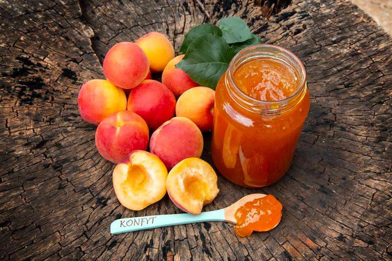 Ina Lessing Apricot Jam 410ml