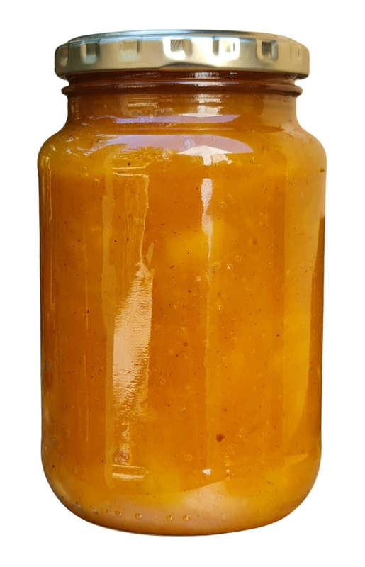 Ina Lessing Mango Chutney 410ml