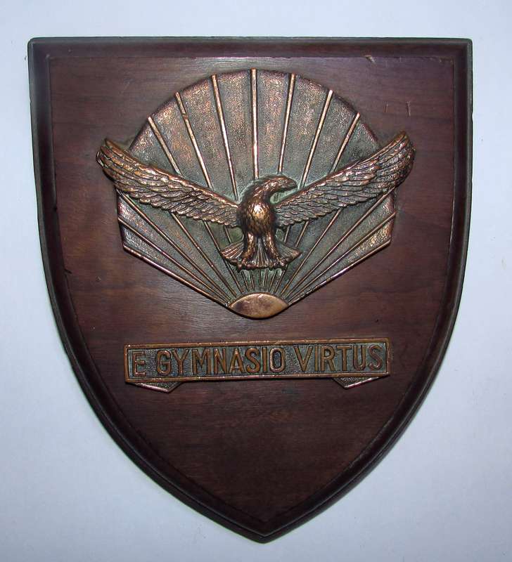 SADF - SAAF Gymnasium Plaque