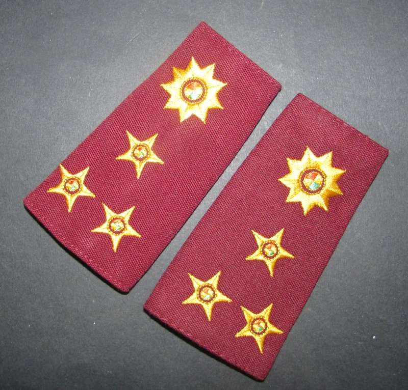 SA Army Medical Services Brigadier Slip on Ranks
