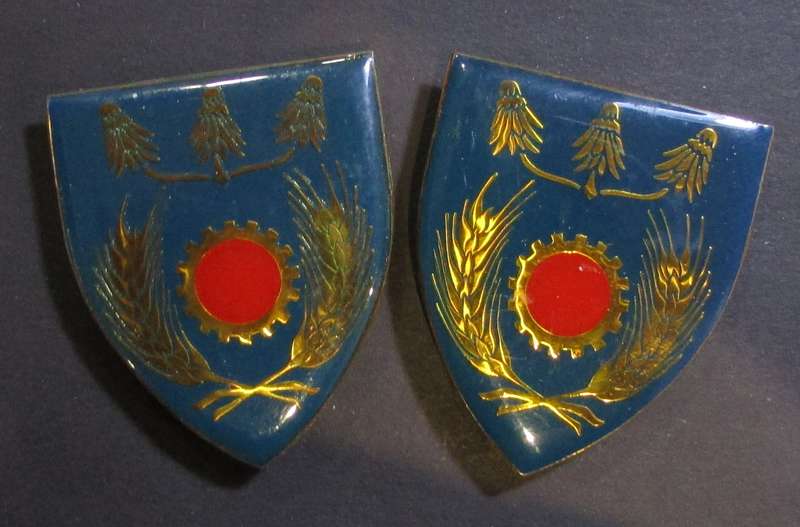 SADF - Far North Maintenance Shoulder Flash Pair