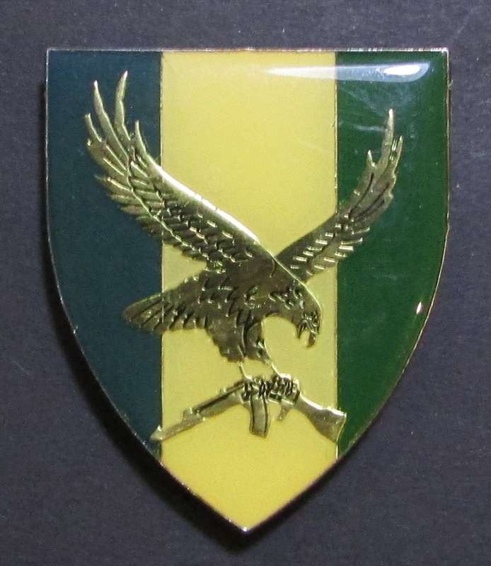 SADF - SWATF 101 Battalion Shoulder Flash