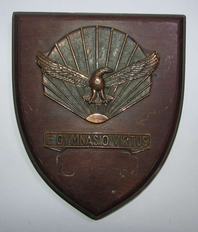 SADF - Air Force Plaque