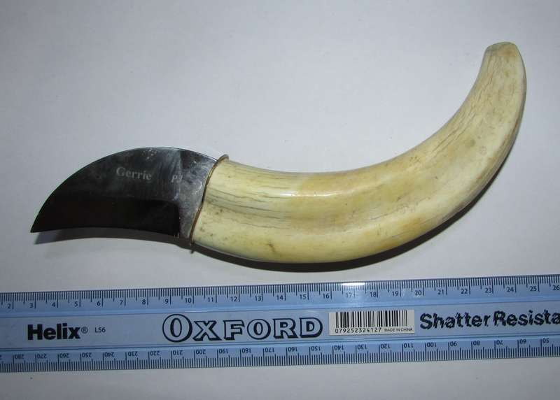 Custome Made Dagger with Warthog Tusk Handle - Gerrie PJ