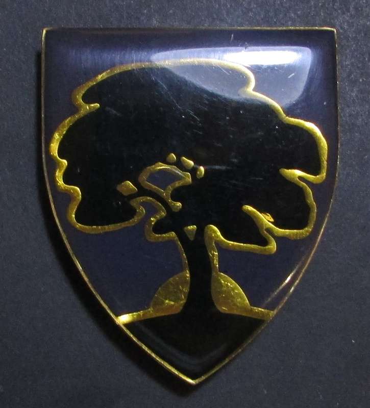 SADF - Schweizer Reneke Commando Shoulder Flash