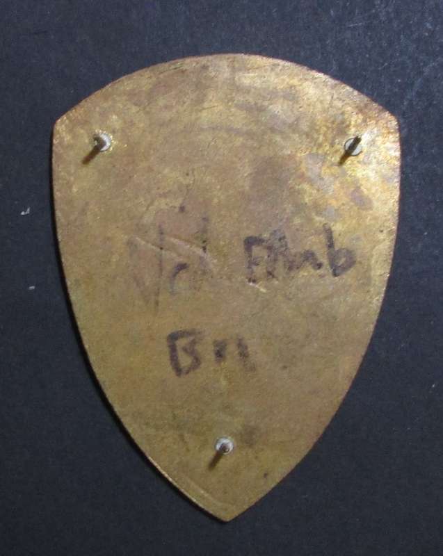 SADF - 81 Field Ambulance Shoulder Flash
