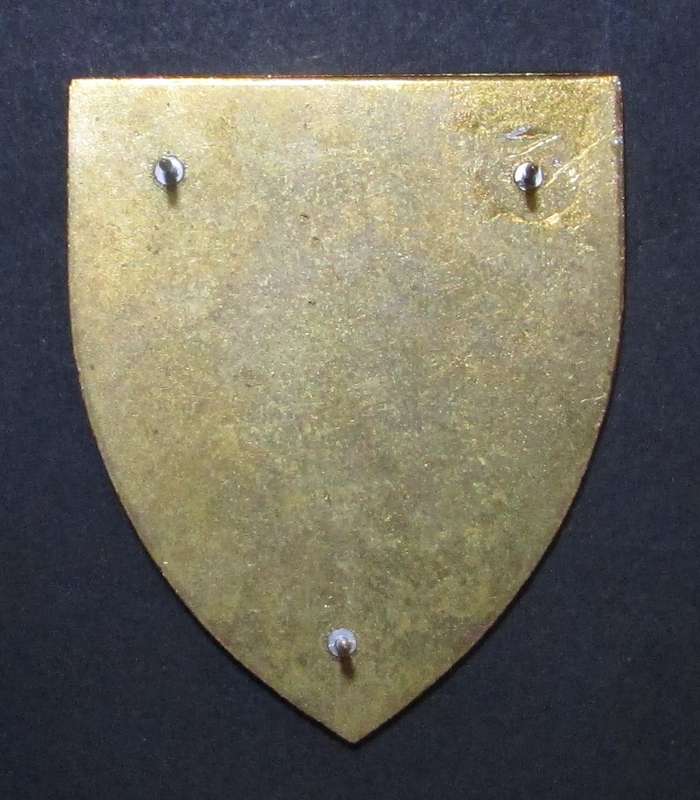 SADF - Chief of Staff Shoulder Flash