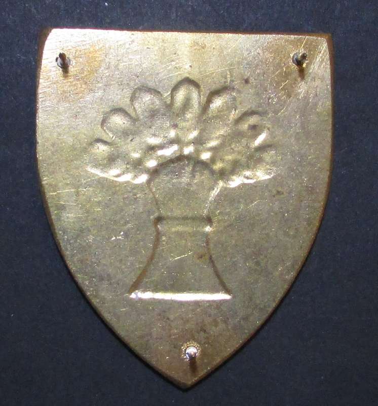 SADF - Bethlehem Commando Shoulder Flash