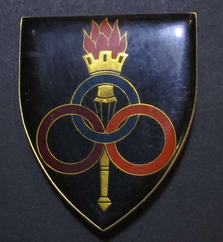 SADF - Ordnance Shoulder Flash