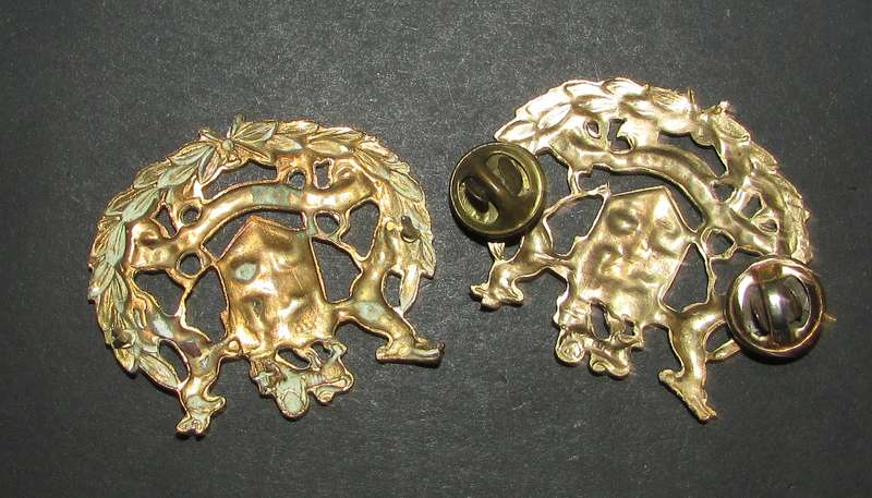 SADF - Air Force Warrant Officer Rank Pair