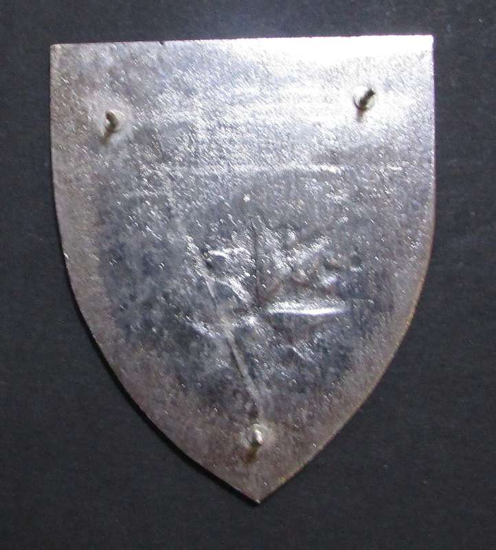 SANDF - Special Forces School Shoulder Flash ( Fake )