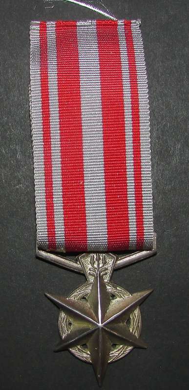 Full Size SAP Medal for Combatting Terrorism ( Silver ) - Not Named